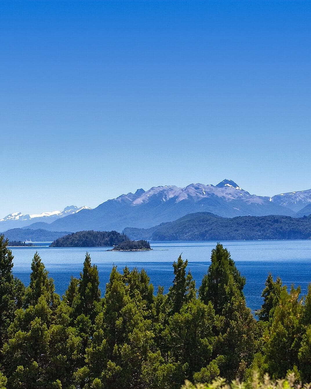 Bosque de coihues frente al lago Nahuel Huapi